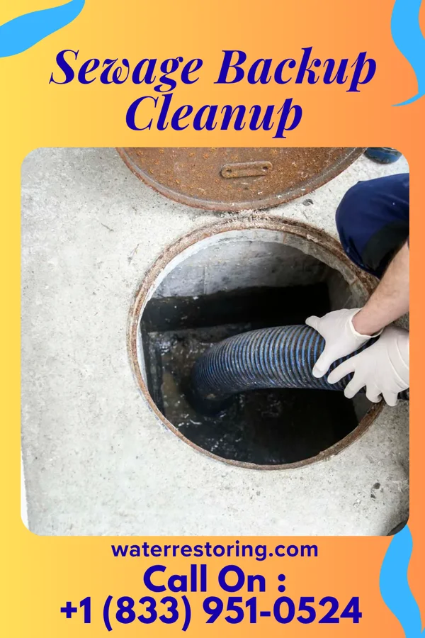 Sewage Backup Cleanup in St. Lucas, IA