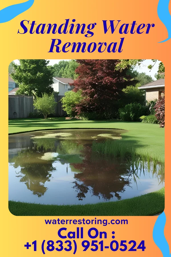Standing Water Removal in St. Lucas, IA